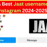 Top 166+ Best Jaat username for Instagram 2024-2025