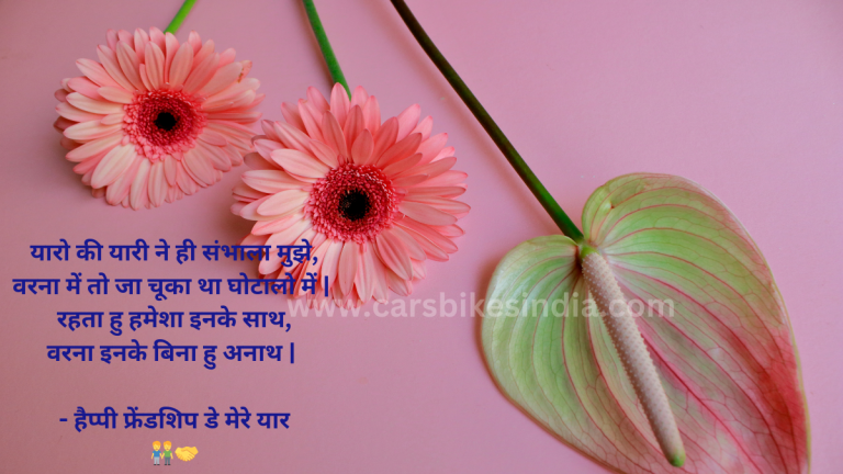 15+ Top & Best Happy Friendship Day Wishes in Hindi 2024 और देखे Friendship day wishes for Bestie