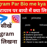 Instagram Par Bio me kya likhe (221+ Top & Best Bio) इंस्टाग्राम पर बायो में क्या लिखे